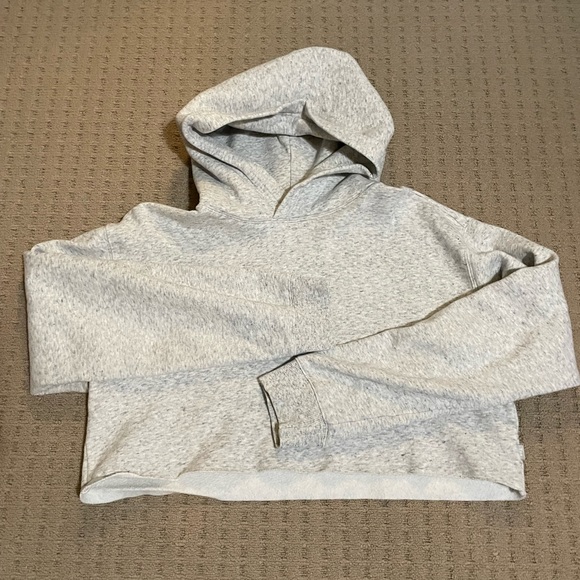 Aritzia TNA Cropped Hoodie - Picture 1 of 2